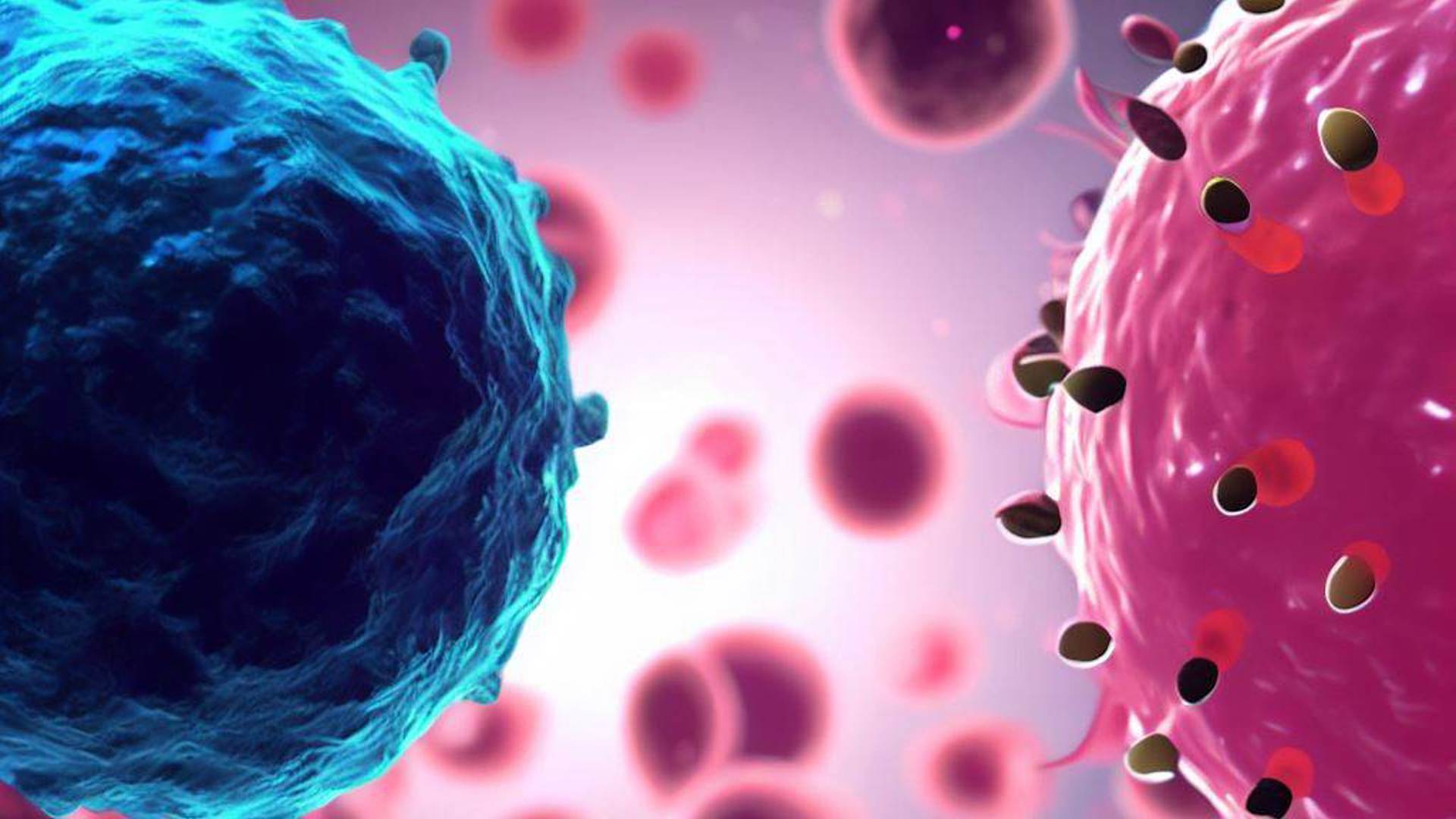 Raske Celler Vs. Kræftceller Animation